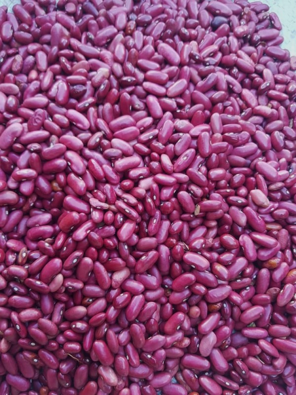 Red Kidney Beans from Tanzania